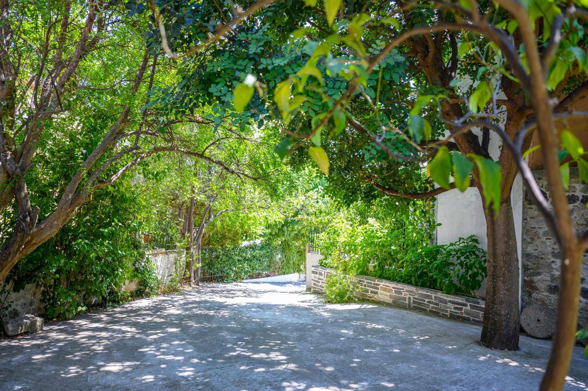 Small Villa Gerani Agios Vlasios  Esterno foto